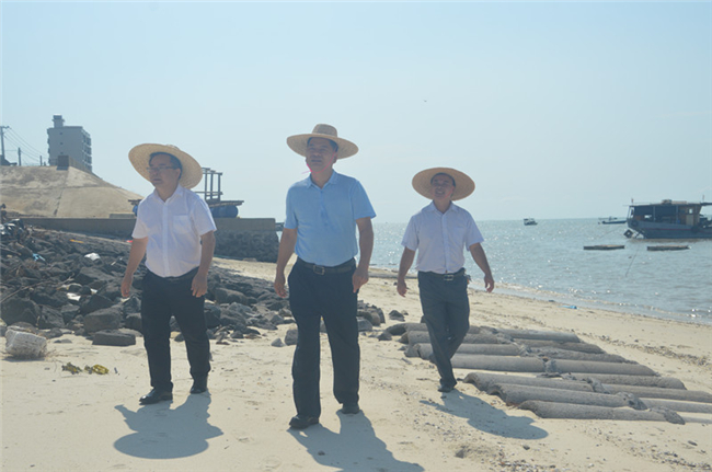 （黃志堅副縣長指出要確保在臺風多發期前建好南洪段海堤）.jpg