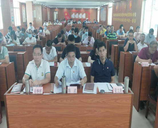 20210819（簡報）洋青鎮政府黨支部召開黨史學習教育專題組織生活會305.png