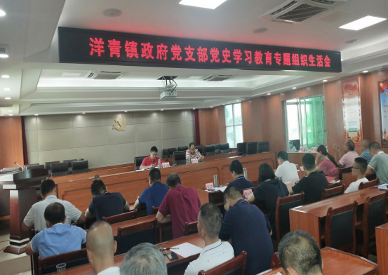 20210819（簡報）洋青鎮政府黨支部召開黨史學習教育專題組織生活會481.png