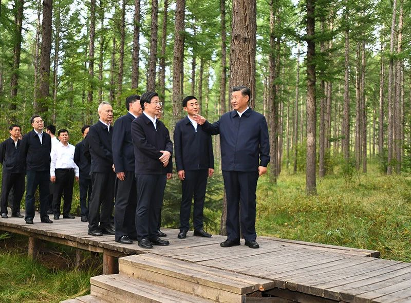 自動轉存圖片