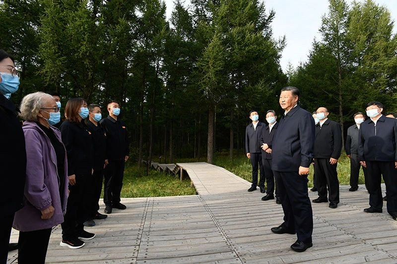 自動轉存圖片