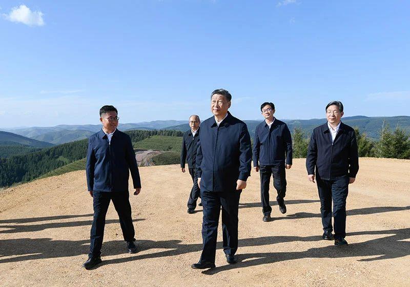 自動轉存圖片