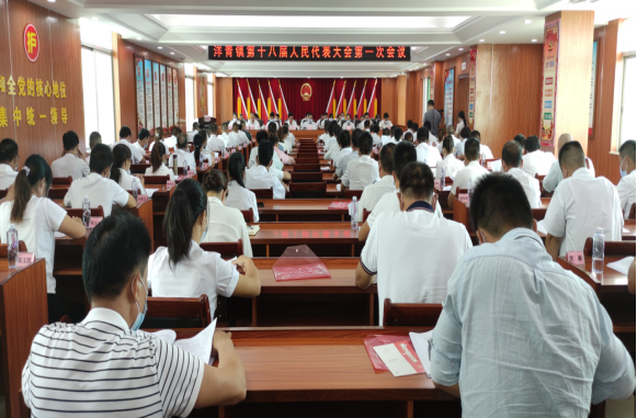 洋青鎮(zhèn)第十八屆人民代表大會(huì)第一次會(huì)議勝利召開（報(bào)道200.png