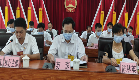 洋青鎮(zhèn)第十八屆人民代表大會(huì)第一次會(huì)議勝利召開（報(bào)道201.png
