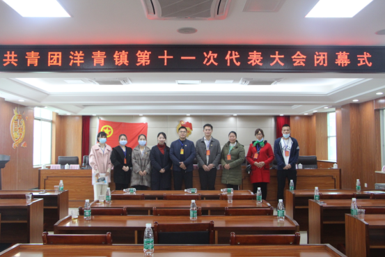 共青團洋青鎮(zhèn)第十一次代表大會勝利召開787.png