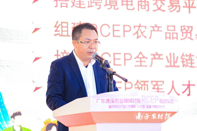 遂溪縣委常委龐宇  南方農村報 吳秒衡 拍攝