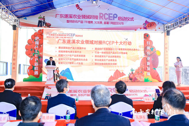 廣東遂溪農業領域對接RCEP十大行動  南方農村報 吳秒衡 拍攝