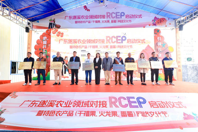 10個千禧果、番薯、火龍果、香蕉種植基地被授予“RECP生產基地”  南方農村報 吳秒衡 拍攝