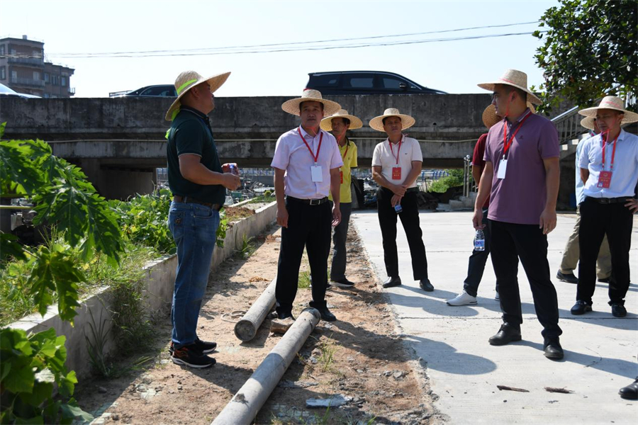 （人大代表們聽取新建村支部書記匯報新建村沿岸道路硬底化項(xiàng)目建設(shè)情況）.jpg