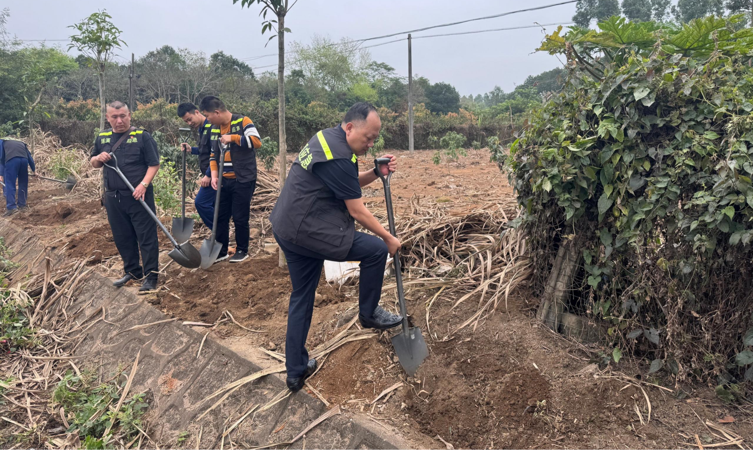 應(yīng)急先鋒植新綠 攜手賦能“百千萬(wàn)工程”2.png