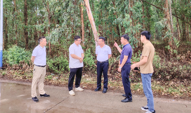 遂溪縣政協主席潘汝權帶隊督導楊柑鎮安全生產