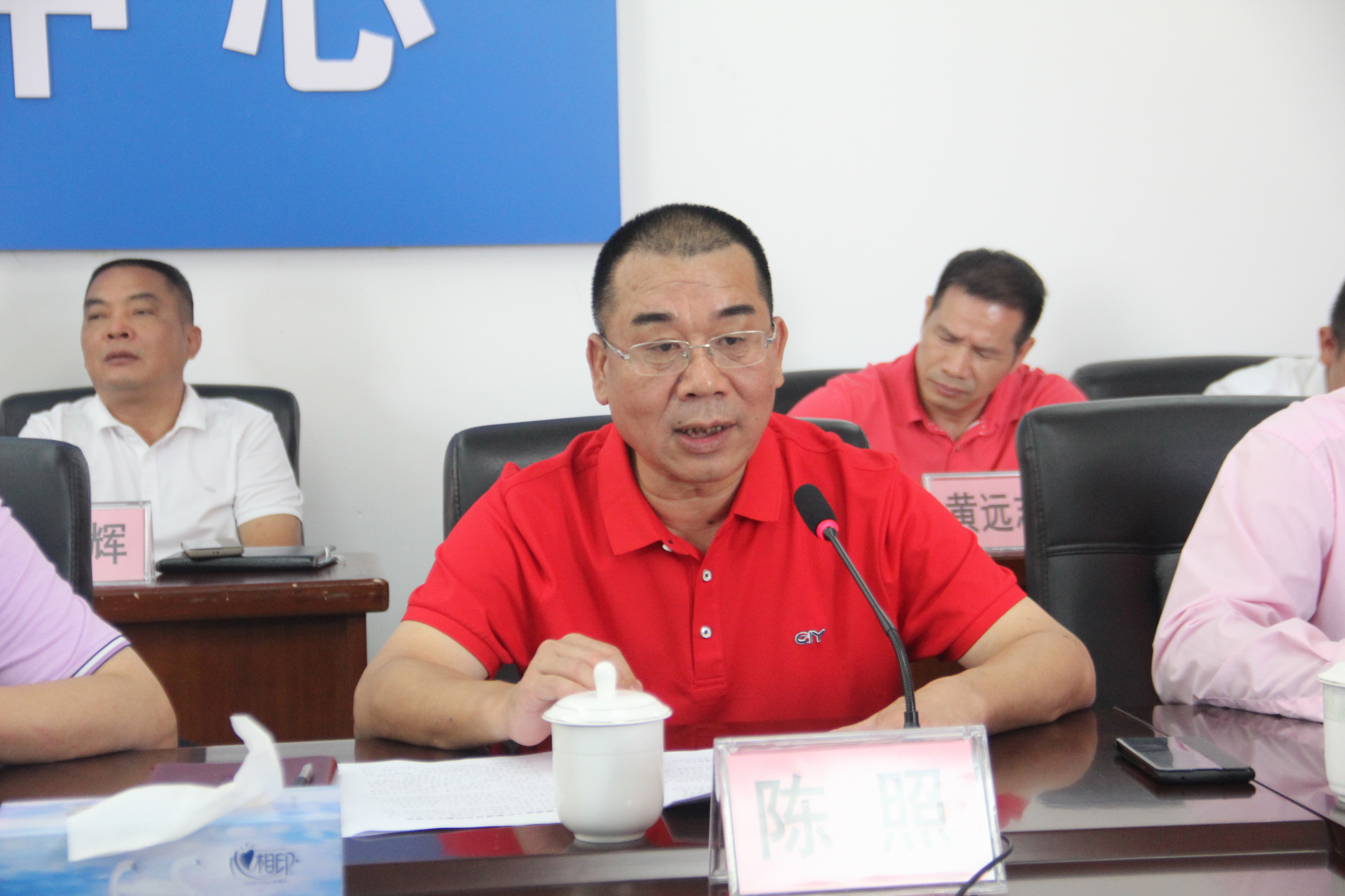 陳照常委在脫貧攻堅座談會上發(fā)言.JPG