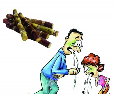 專家提醒:霉變甘蔗易中毒 別貪吃